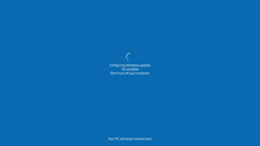 Windows 11 更新界面